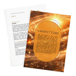 Human Design Solar Return